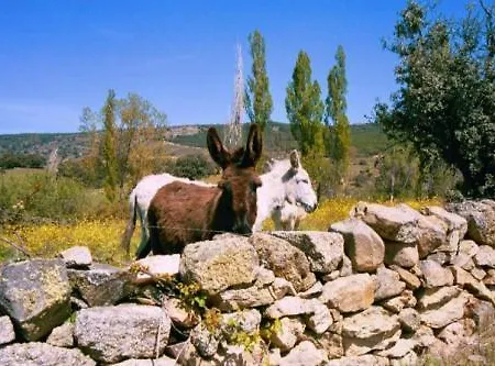 Gospodarstwo wiejskie Menta Y Canela Tortoles