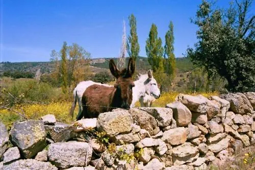 Летний дом Menta Y Canela Тортолес